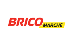 Logo Bricomarche